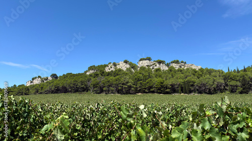 Hiking in the Massif de la Clape in Aude Southern France