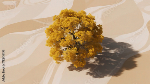 Fototapeta Naklejka Na Ścianę i Meble -  Solitary tree with golden leaves in desert