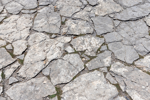 A weathered gray stone pavement of irregular slabs, small gaps filled with dirt