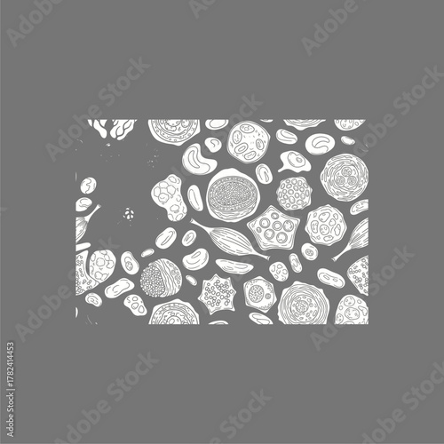 Organ Systems in the Human Body: Types, Parts, and Functions