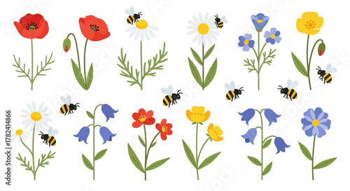 Colorful Wildflowers and Bees Collection Summer Meadow Floral Vector