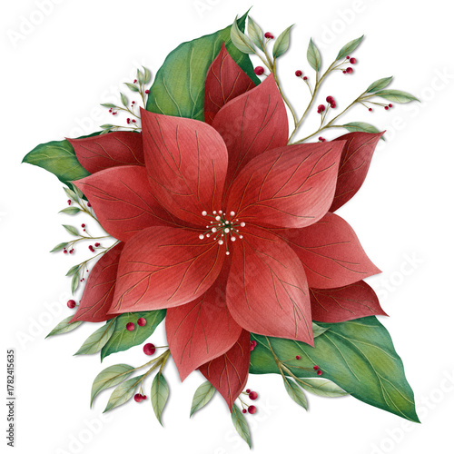 Elegant watercolor Red Poinsettia Christmas Flower illustration 