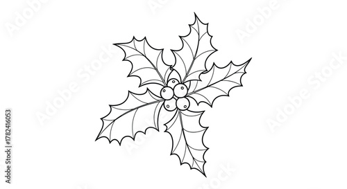 Detailed black and white outline drawing of a classic holly sprig, complete with spiky leaves and round berries, embodying the festive spirit of Christmas.