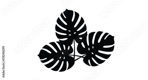 Striking black silhouette of three iconic Monstera deliciosa leaves, showcasing their distinctive split-leaf shape, creating a bold and minimalist botanical statement.