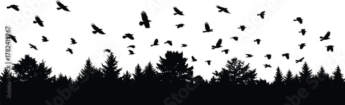 Forest silhouette, flying birds, coniferous trees, nature illustration, wildlife motion, black background, peaceful scene, outdoor view, natural beauty, ecosystem harmony