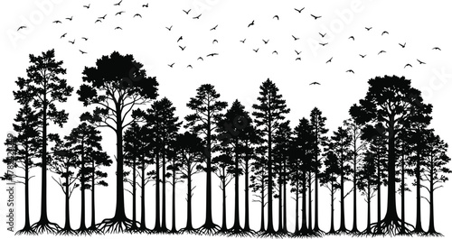 Forest silhouette, flying birds, tree roots, nature illustration, wildlife motion, black background, peaceful scene, outdoor view, biodiversity, ecosystem art