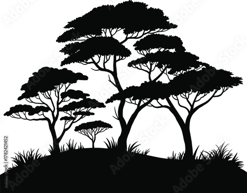 Silhouette of acacia trees and shrubs on hill, savanna landscape illustration, black nature scene with grass and bushes, ecosystem design for stock, vector artwork