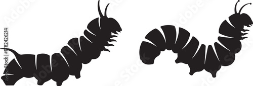 Two black caterpillar silhouettes isolated on transparent background