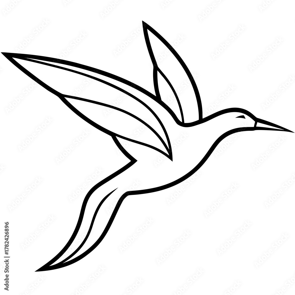 Naklejka premium Hummingbird in flight with wings spread