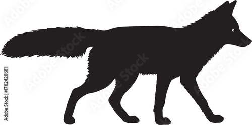 Black silhouette of a wild canine animal standing alert isolated on transparent background