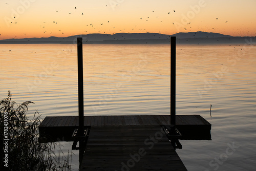 Fototapeta Naklejka Na Ścianę i Meble -  Jesienny świt nad Jeziorem Goczałkowickim, latające ptaki.