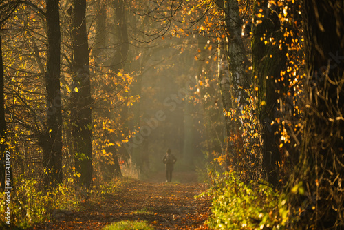 Jesienny krajobraz we mgle, aleja kasztanowa,  © Elżbieta Kaps