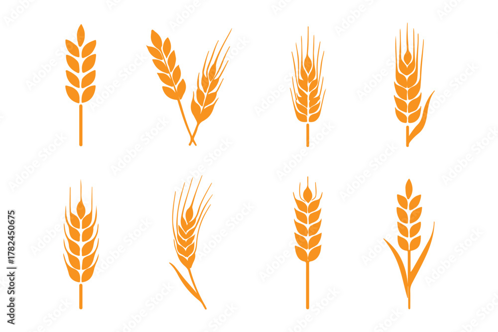 Fototapeta premium set of wheat ears, Wheat Ears Silhouette Set, A collection of eight black vector icons depicting various styles of wheat and rye ears with stalks, wheat icon, Grey Cereals icon set with rice, wheat.