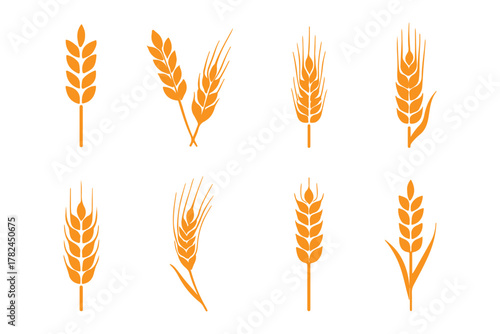 set of wheat ears, Wheat Ears Silhouette Set, A collection of eight black vector icons depicting various styles of wheat and rye ears with stalks, wheat icon, Grey Cereals icon set with rice, wheat.