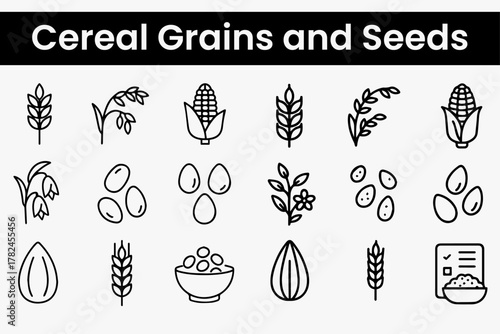 Cereal Grains and Seeds Line Art Illustration