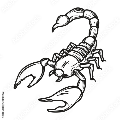 Black and White Scorpion Line Art Vector Illustration