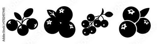 Collection of black silhouette icons of berries, including blueberries and currants, on a