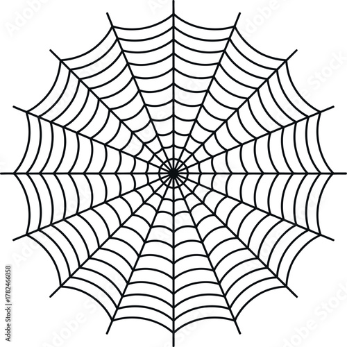 A detailed black and white spiderweb pattern creates a symmetrical geometric design.