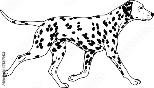 Running Dalmatian Dog Vector Illustration Full Body Side View Speedy Canine Motion Artwork Elegant Spotted Breed Pet Animal Design Line Art