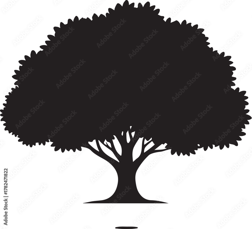 Fototapeta premium PrintSilhouette of a large deciduous tree with a full canopy