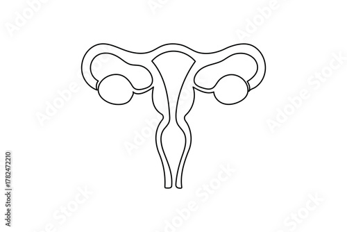 Minimalist uterus line drawing illustration on white background
