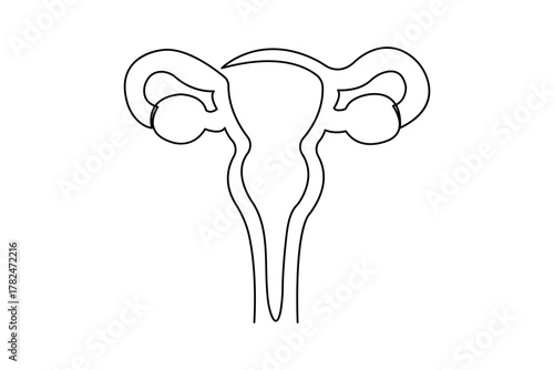 Minimalist uterus line drawing illustration on white background