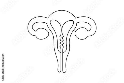 Minimalist uterus line drawing illustration on white background