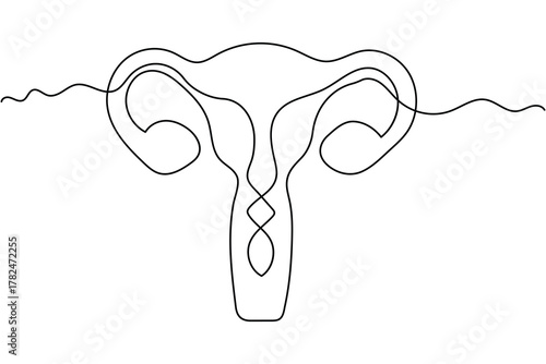 Minimalist uterus line drawing illustration on white background
