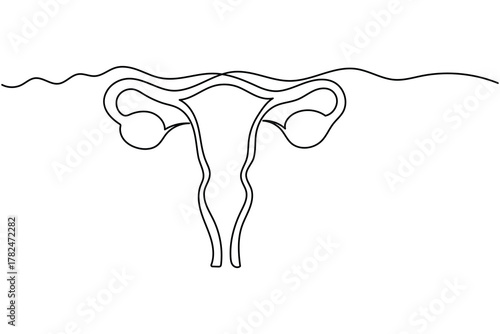 Minimalist uterus line drawing illustration on white background