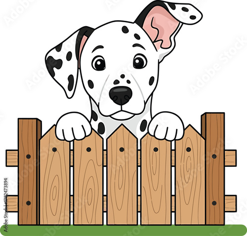 Charming Dalmatian Puppy Vector Peeking Over Wooden Fence Canine Domestic Animal Pet Illustration Looking Friendly Happy Cartoon Graphic Isolated