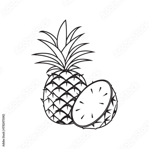 Pineapple vector illustration