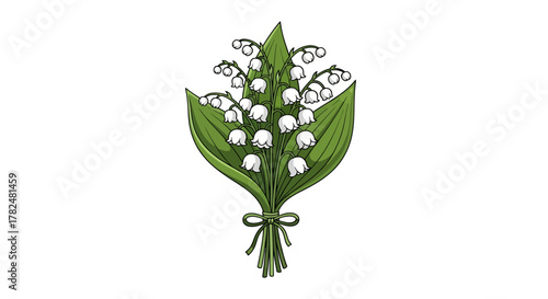 Delicate bell shaped lily of the valley bouquet with verdant leaves and a subtle ribbon tie