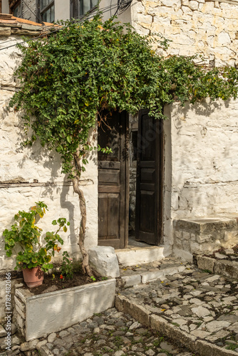 ffene Holztür mit Weinranken an weißem Steinhaus, Berat, Bezirk Berat, Albanien