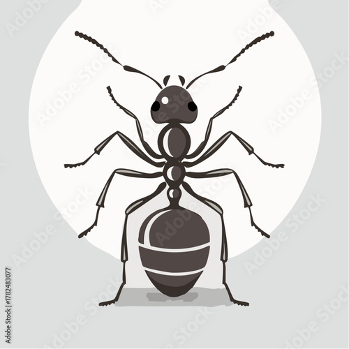 Ant close up on light background