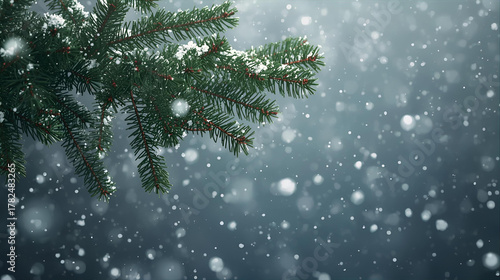A close up of a pine tree branch with snow falling against a blurred background