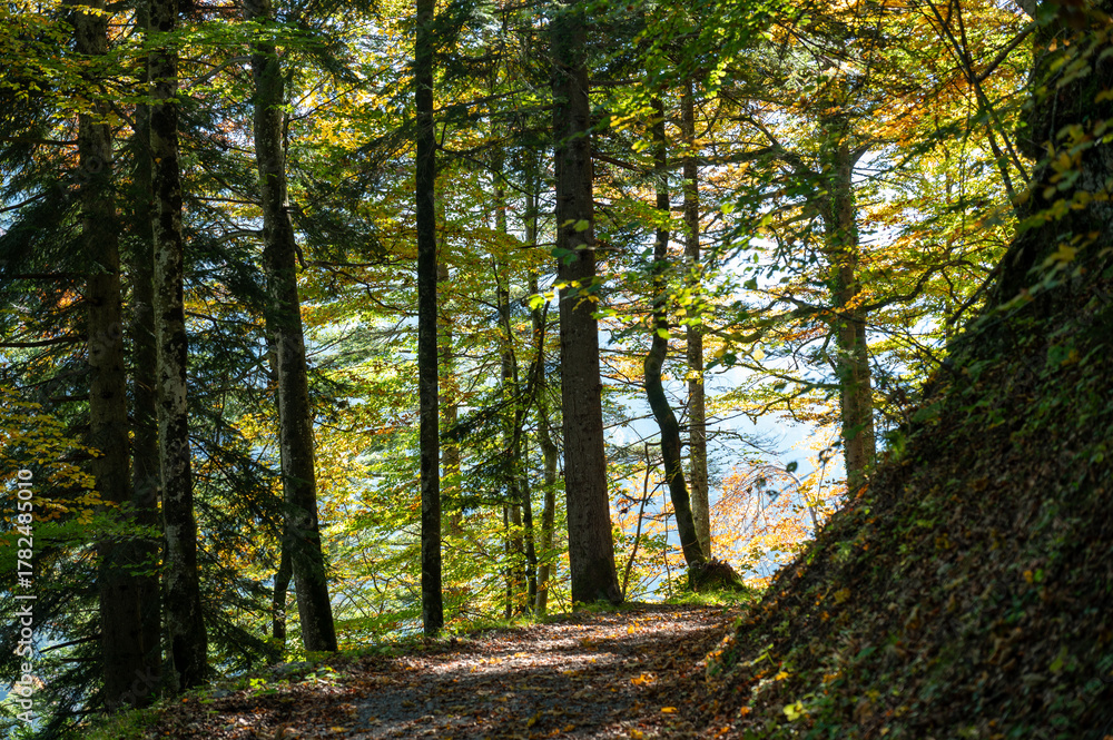 Obraz premium Vorarlberg, Brandertal