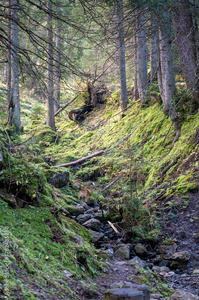 Fototapeta premium Vorarlberg, Brandertal