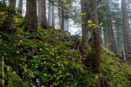 Vorarlberg, Brandertal