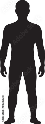 Human male body outline on white background