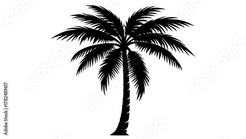 Silhouette of a single palm tree, tropical and simple