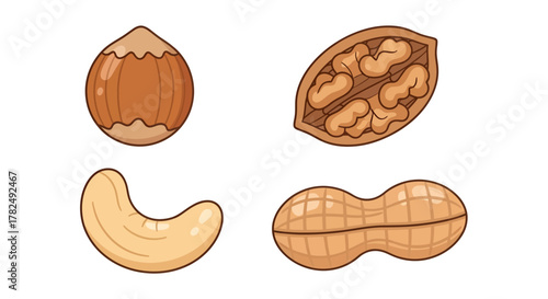 Delightful nut assortment featuring hazelnut walnut cashew and peanut ready to savor