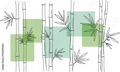 Set of bamboo illustration and geometric shapes on transparent backdrop. Asian nature concept, zen, meditation, oriental botany and japanese garden idea.