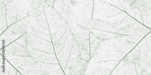 Background with x-ray silhouettes of leaves, overlaid with subtle grain, speckled dust and faint grunge stains for a delicate yet aged botanical atmosphere.