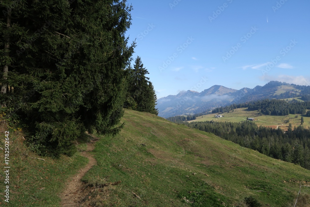 Obraz premium Vom Steinernen Tor in Riefensberg in Vorarlberg führt dieser Weg zur Bergstation auf dem Imberg in Oberstaufen. Er verläuft auf dem Kojen-Schichtkamm. Im Hintergrund ist die Hochgratkette zu sehen.