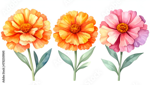 Watercolor Vibrant Floral Trio: A trio of exquisitely rendered flowers burst forth with vivid colors, their delicate petals and intricate details showcasing nature's artistry.