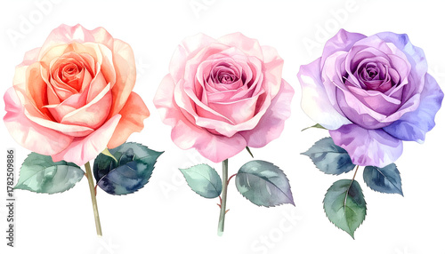 Watercolor Rose Bouquet in Bloom: A delicate bouquet showcasing the elegance of roses. Each bloom displays its own unique hue and charm, capturing the essence of spring and romance. 