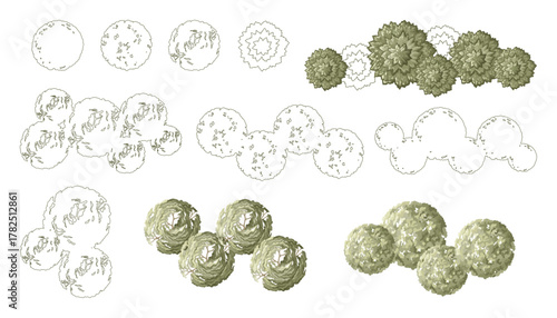Tree for architectural floor plans. Entourage design. Various trees, bushes, and shrubs, top view for the landscape design plan. Vector illustration.
