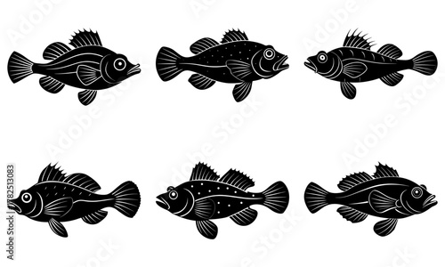 Diverse collection of six stylized black fish silhouettes showcasing aquatic life and marine biology research elements for educational and design projects.