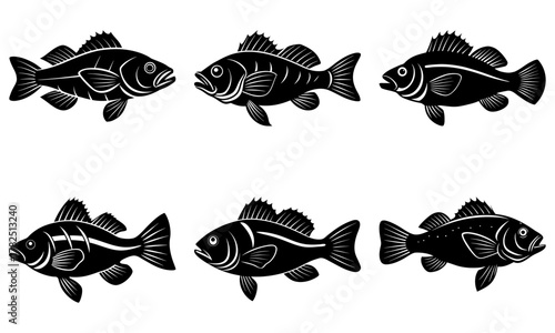 Collection of six distinct fish silhouettes in bold black and white, perfect for nautical themes, fishing, or seafood branding.
