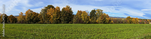 Colorful trees at Unterschützen, Oberwart district, Burgenland, Austria, Europe, Central Europe
